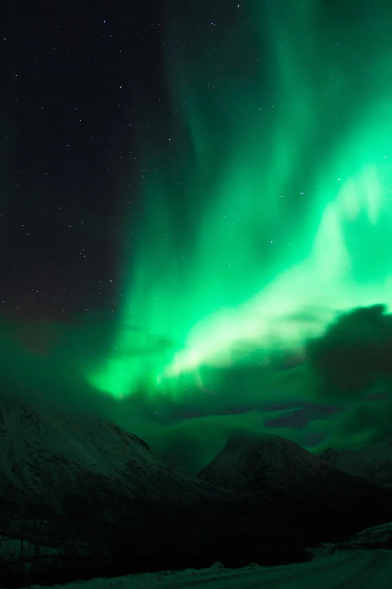 Erik Schereder via Pexels